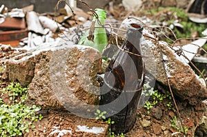 Broken beer bottles closeup