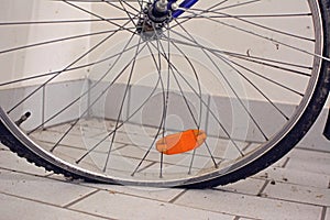 Broken bicycle wheel bent and twisted spokes and flat tired