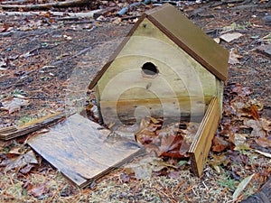 Broken Birdhouse Against The Dead Leaves