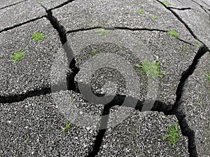 Broken black asphalt with lichen