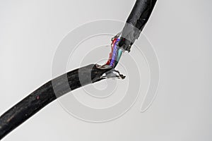 Broken black electric cord with red and electric blue wires intertwined. Damaged power electrical cable on white background, close