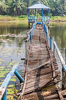 Broken boardwalk in Harbaria eco park in Sundarbans, Banglade