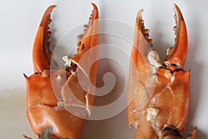 Broken Boiled Crab body builder. Cheliped of the crab, prepared raw shell animal at homemade gourmet restaurant, food stylist menu