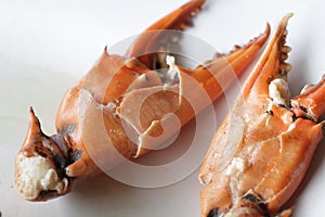 Broken Boiled Crab body builder. Cheliped of the crab, prepared raw shell animal at homemade gourmet restaurant, food stylist menu