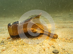 Broken bottle neck underwater on lake bottom