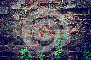 Broken brick surface of the fortress wall of the russian Joseph-Volotsky monastery