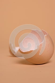 Broken brown chicken eggshell, source of calcium