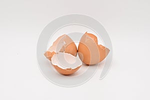 Brown Eggshells on a White Background