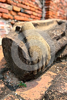 Broken Buddha Hand, Ayutthaya