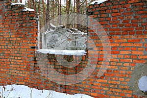 Broken building in pine forest