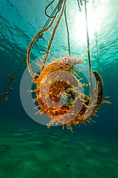 A broken buoy and sun in the Red Sea.