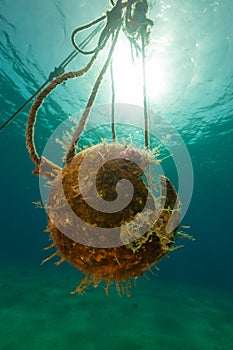 A broken buoy and sun in the Red Sea.