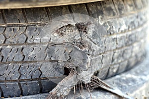 A broken car tire with torn cords inside the tire