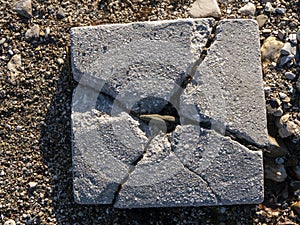 Broken cement square block on gravel top view