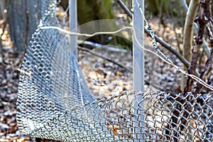 Broken chain link fence