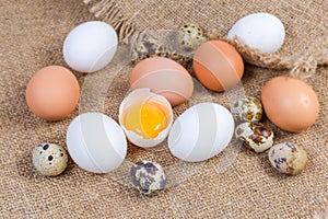 Broken chicken egg among the whole chicken and quail eggs photo