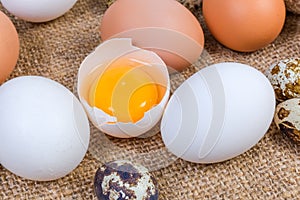 Broken chicken egg in eggshell among the whole eggs close-up photo