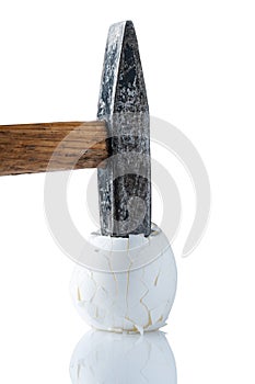 A broken chicken egg and a hammer on a white background