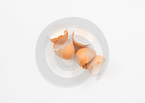 broken chicken eggshells photo