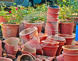 Broken clay flower pot colorful background. Damage concept.broke flower pot with red roses, Empty Flower Pot