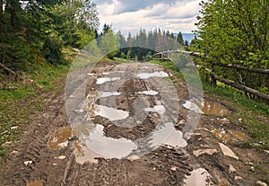 Broken country dirt road with muddy puddles after the rain