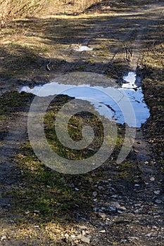 Broken country dirt road in spring mountains with lots of muddy puddles after the rain