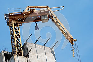 Broken Crane