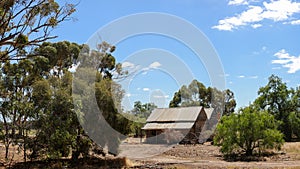 A broken decaying old timber farmers workers home surrounded by native trees on a dry barren agricultural