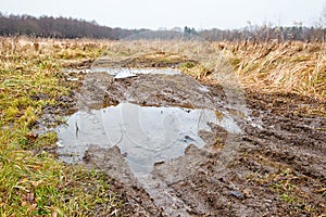 Broken dirt road in the field