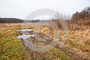 Broken dirt road in the field