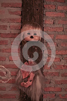 Broken Doll Face and Head hanging on brick wall decoration for Halloween party