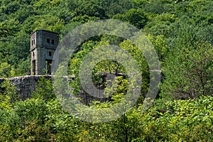 Bayless Pulp and Papermill Ruins photo