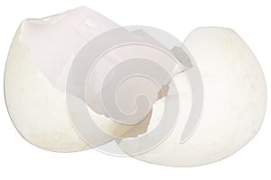 Broken duck eggshell on white background