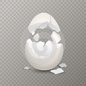 Broken egg. Chicken cracked eggshell. Opened egg with broken shell, farm bird incubator, culinary cooking nutrition