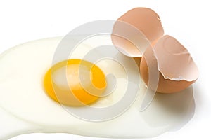 Broken Egg and Egg Shell