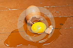 Broken egg on the floor