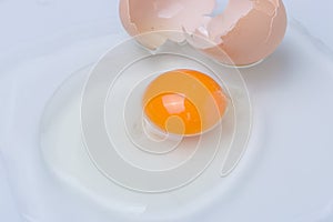 Broken egg