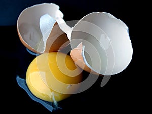 Broken egg II
