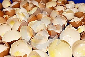 Broken Egg Shel background. Chicken cracked eggs. Eggshell concept