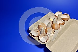Broken Egg Shel in a paperboard on blue background. Chicken cracked eggs. Eggshell concept. Ð¡hicks ran away from the chicken