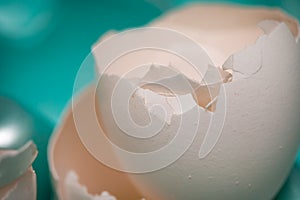 Broken Egg Shell