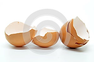 Broken egg shell