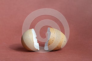 Broken egg shell on brown background with space for text