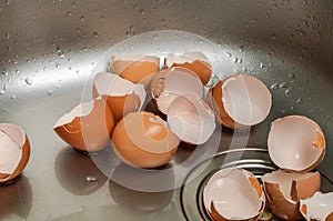 Broken egg shell in the washbasin