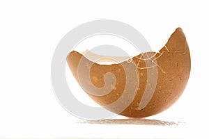 Broken egg shell with on white background, isolated, with bursts and cracks