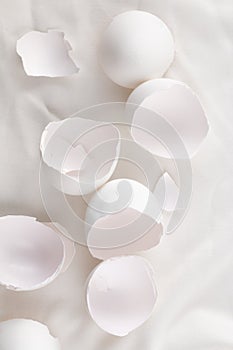 Broken egg shell on white background with space for text