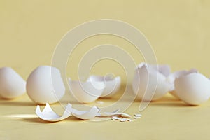 Broken egg shell on white background with space for text, begging of life concept