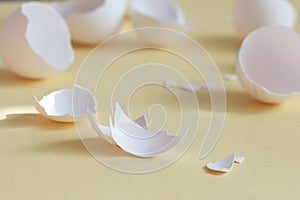 Broken egg shell on yellow background with space for text