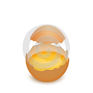 Broken egg shell with yolk, realistic vector illustration