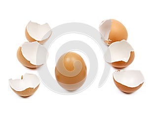 Broken egg shells